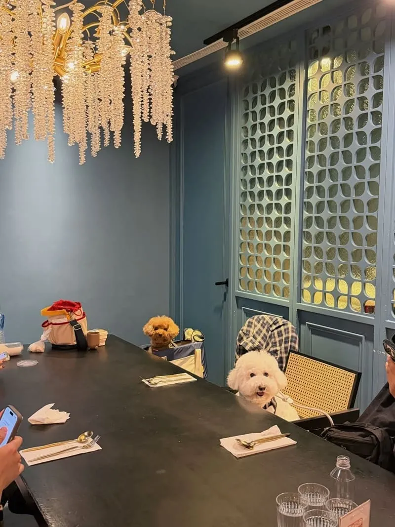 飪室咖哩 勤美店|台中寵物友善印度咖哩,毛孩同行規範與點餐節奏整理 4 飪室咖哩 勤美店|台中寵物友善印度咖哩