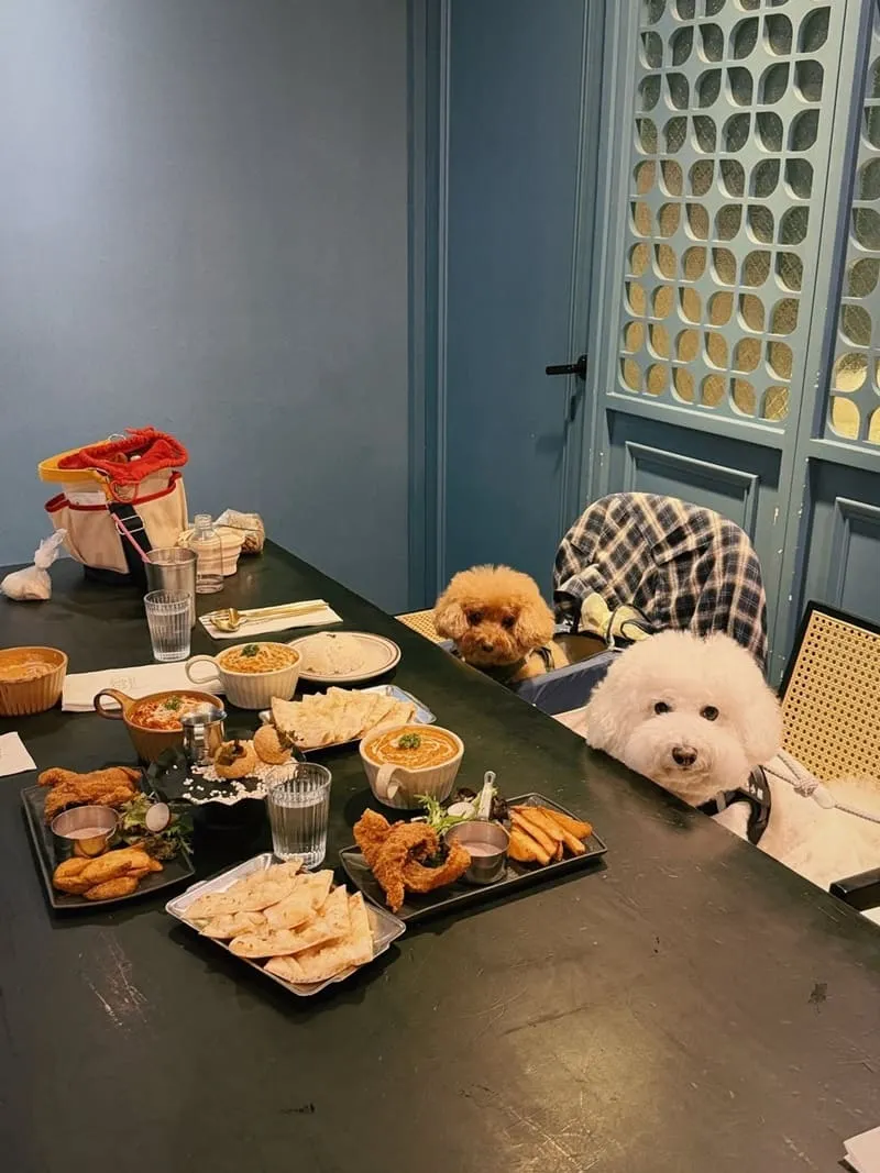 飪室咖哩 勤美店|台中寵物友善印度咖哩,毛孩同行規範與點餐節奏整理 5 飪室咖哩 勤美店|台中寵物友善印度咖哩
