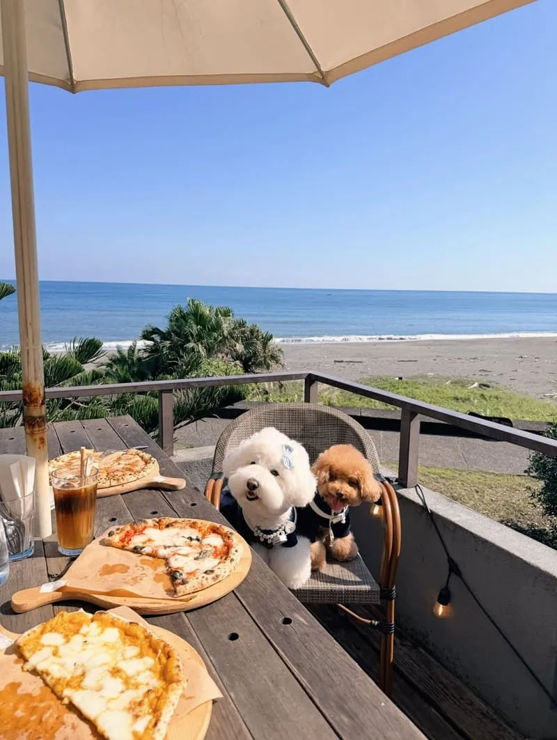 笑ㄟCafé|宜蘭看海咖啡廳拍照指南:晴天藍海怎麼拍、室內備案怎麼選 4 笑ㄟCafé|宜蘭看海咖啡廳