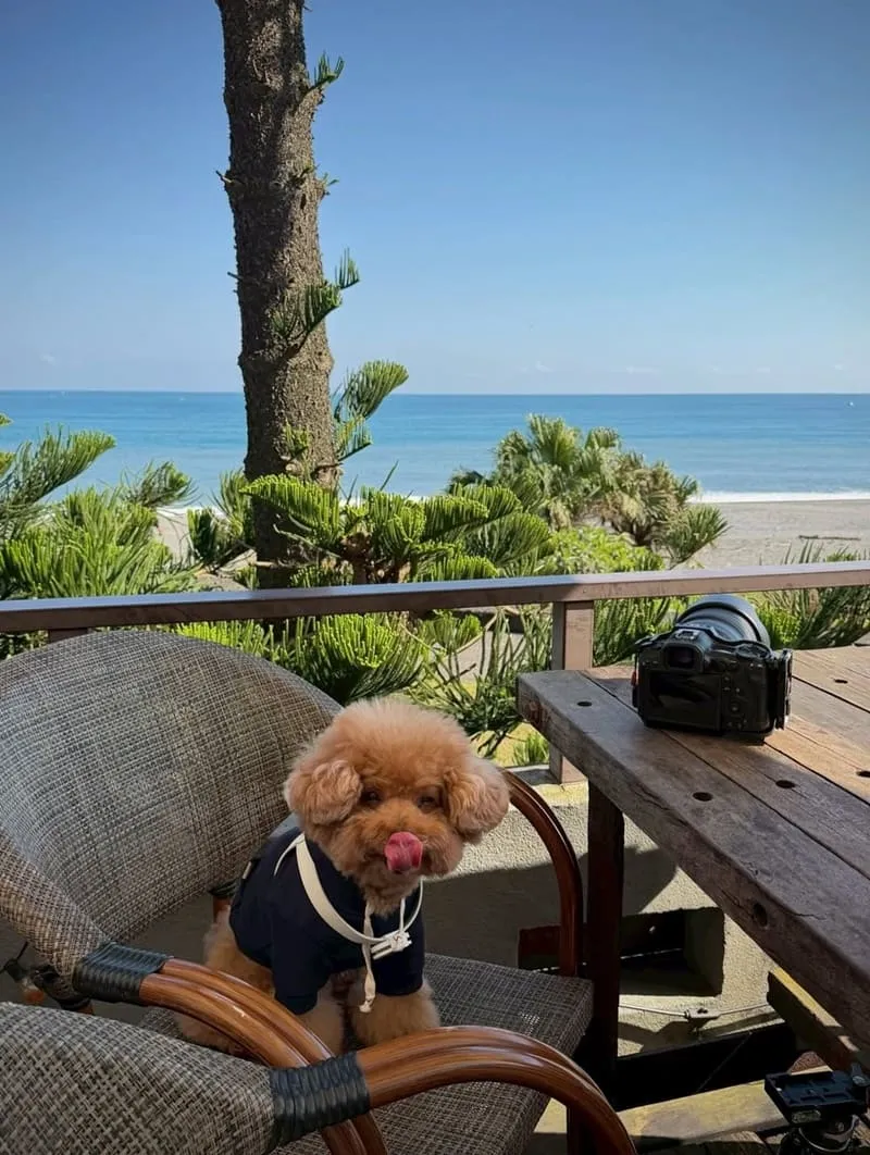 笑ㄟCafé|宜蘭看海咖啡廳拍照指南:晴天藍海怎麼拍、室內備案怎麼選 9 笑ㄟCafé|宜蘭看海咖啡廳