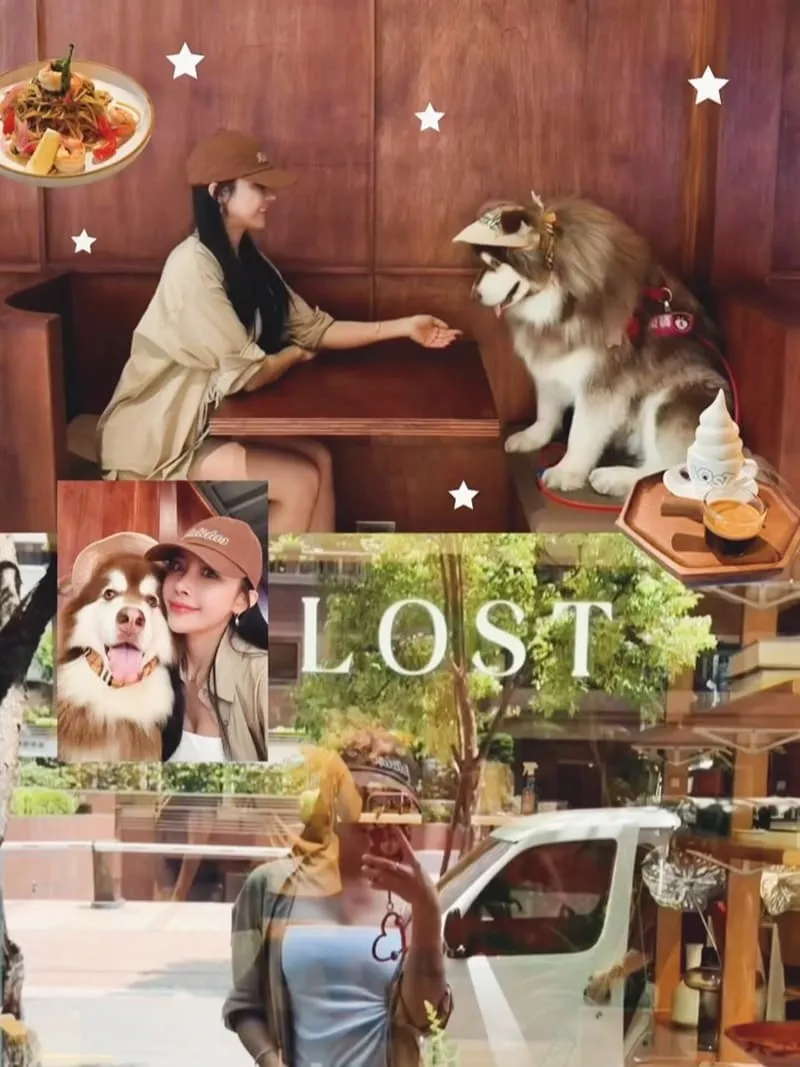 LOST and Found 內湖店|大型犬也能同行,內湖寵物友善咖啡廳的療癒午後 4 lost02