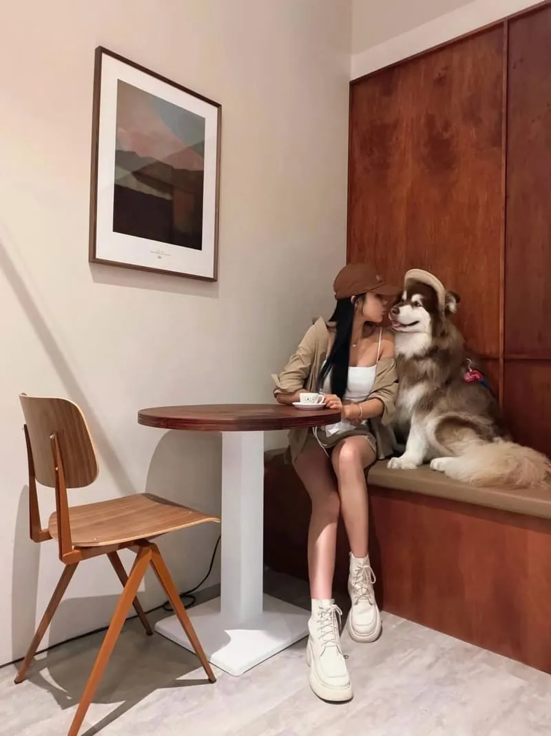 LOST and Found 內湖店|大型犬也能同行,內湖寵物友善咖啡廳的療癒午後 5 lost03
