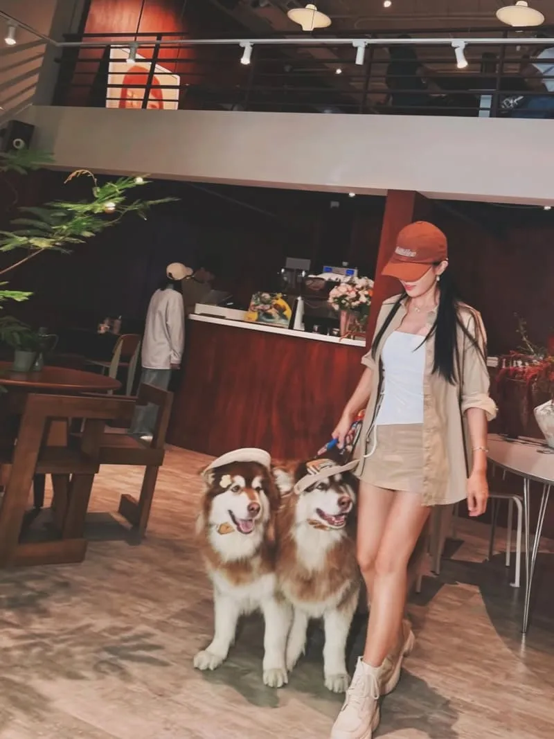 LOST and Found 內湖店|大型犬也能同行,內湖寵物友善咖啡廳的療癒午後 7 lost05