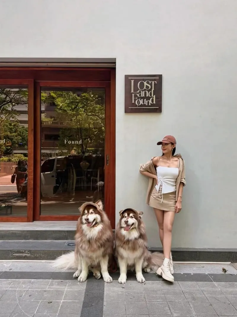 LOST and Found 內湖店|大型犬也能同行,內湖寵物友善咖啡廳的療癒午後 14 LOST and Found 內湖店